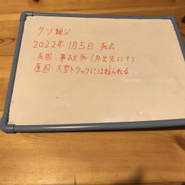 お前が喋ると環境汚染の原因になるんだよ。お前がいること自体迷惑なんだよ